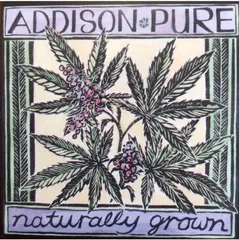 Addison Pure