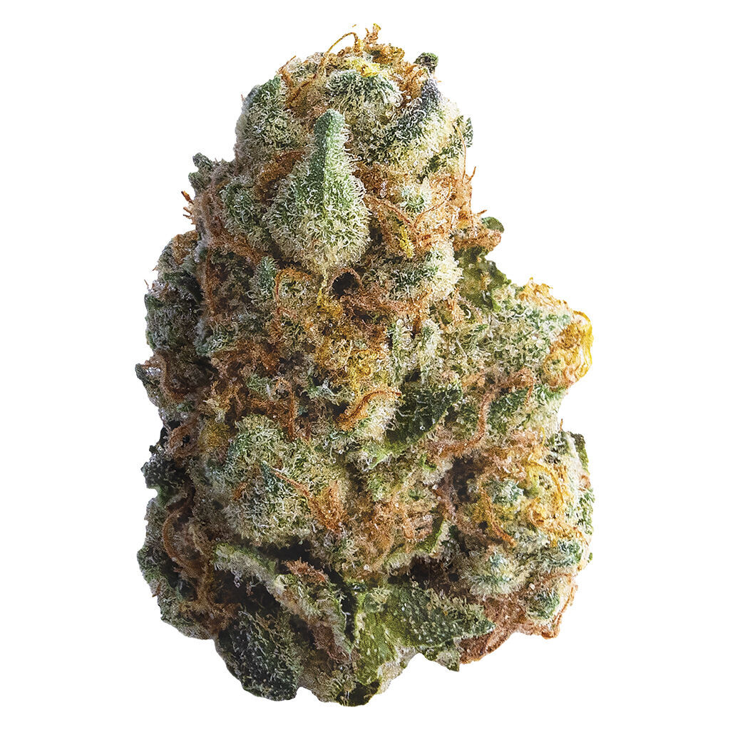 Spinach - GMO Cookies (Girl Scout Cookies x Deep Sour Kush) - Indica 2.4% TERPS!