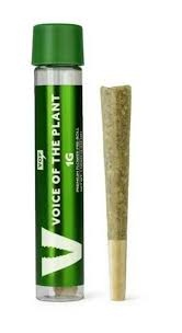 VOP - LEMON CHERRY SHERBERT - 1G PREROLL - HYBRID