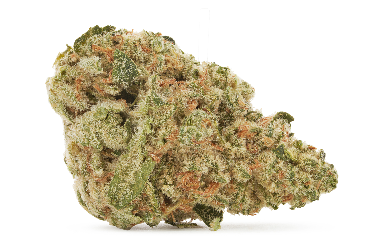 Spinach - West Coast Cookies Flower - Indica