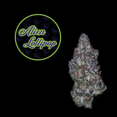 Alien Lollipop | Highmark Provisions |