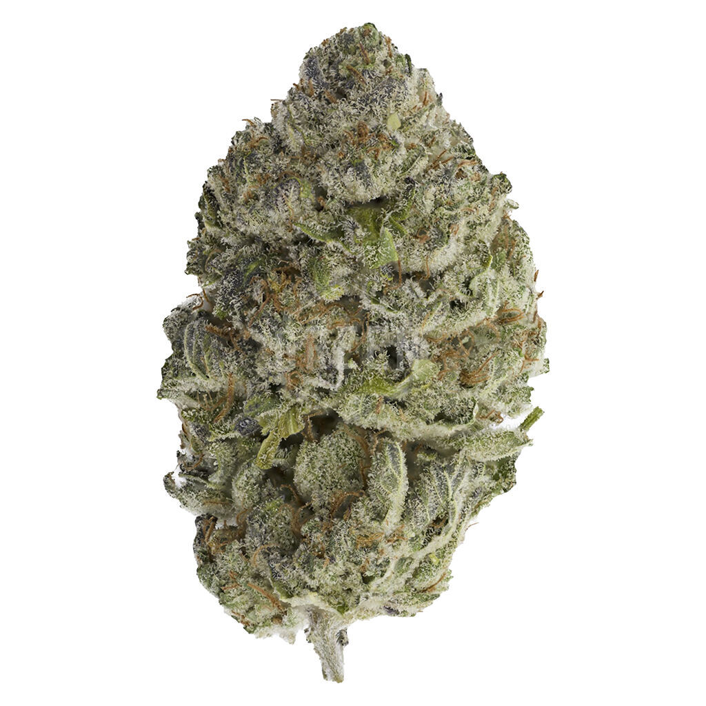 Sheeesh! - Bluefin Tuna flower - Indica