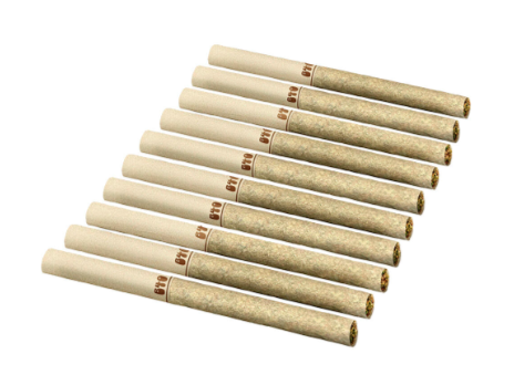 Backpackers Golden Tangie Pre-Rolls | 0.75G X 10