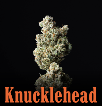 Knucklehead- Total Eclipse - 7g Ready To Roll Shake