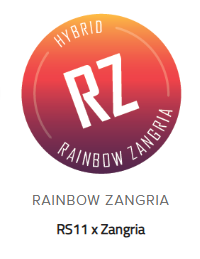 Rainbow Zangria Batter Hybrid