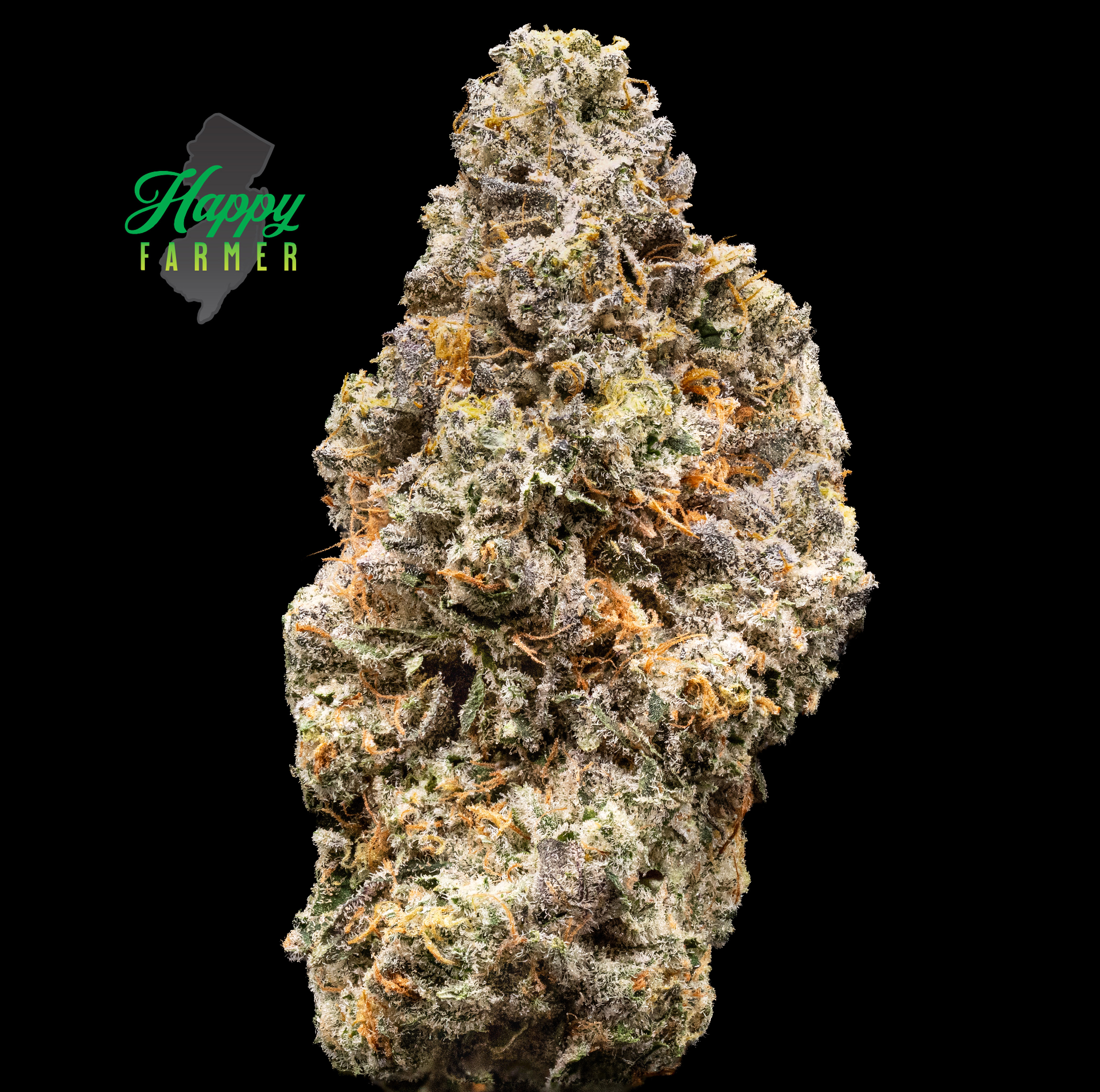 Happy Farmer: On Point: