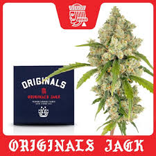 Jack Herer | 1g | Power Fund Operations, LLC