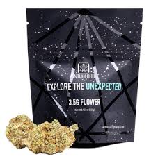 Anthologie Flower - Cosmic Crescendo - 1/8oz in Camden