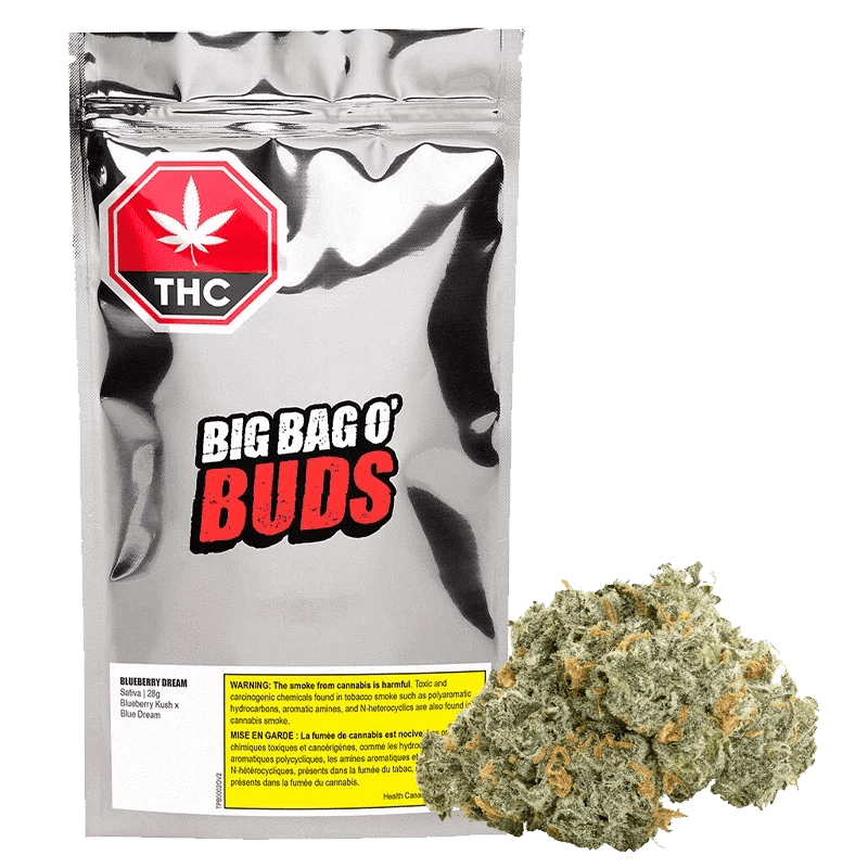 Big Bag O' Buds - Blueberry Dream Pre-Rolls - Sativa -10x0.5g