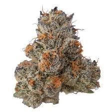 Oreoz | Indica Hybrid Flower