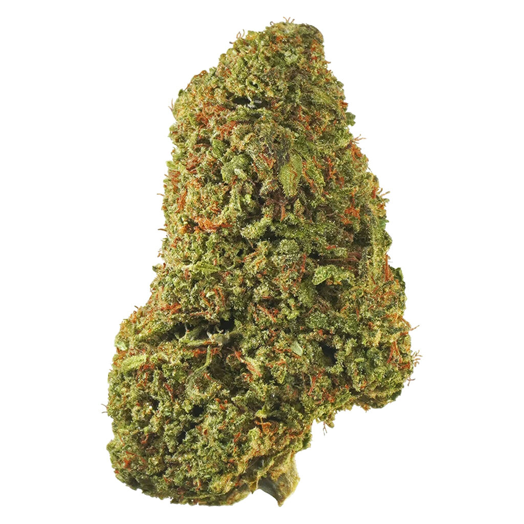 1964 - Tropicanna - Sativa
