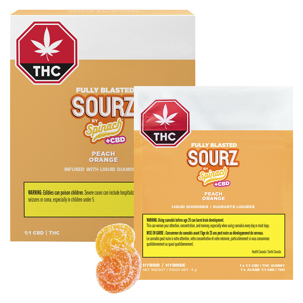 サウンドシェイプス　サークル5個セット