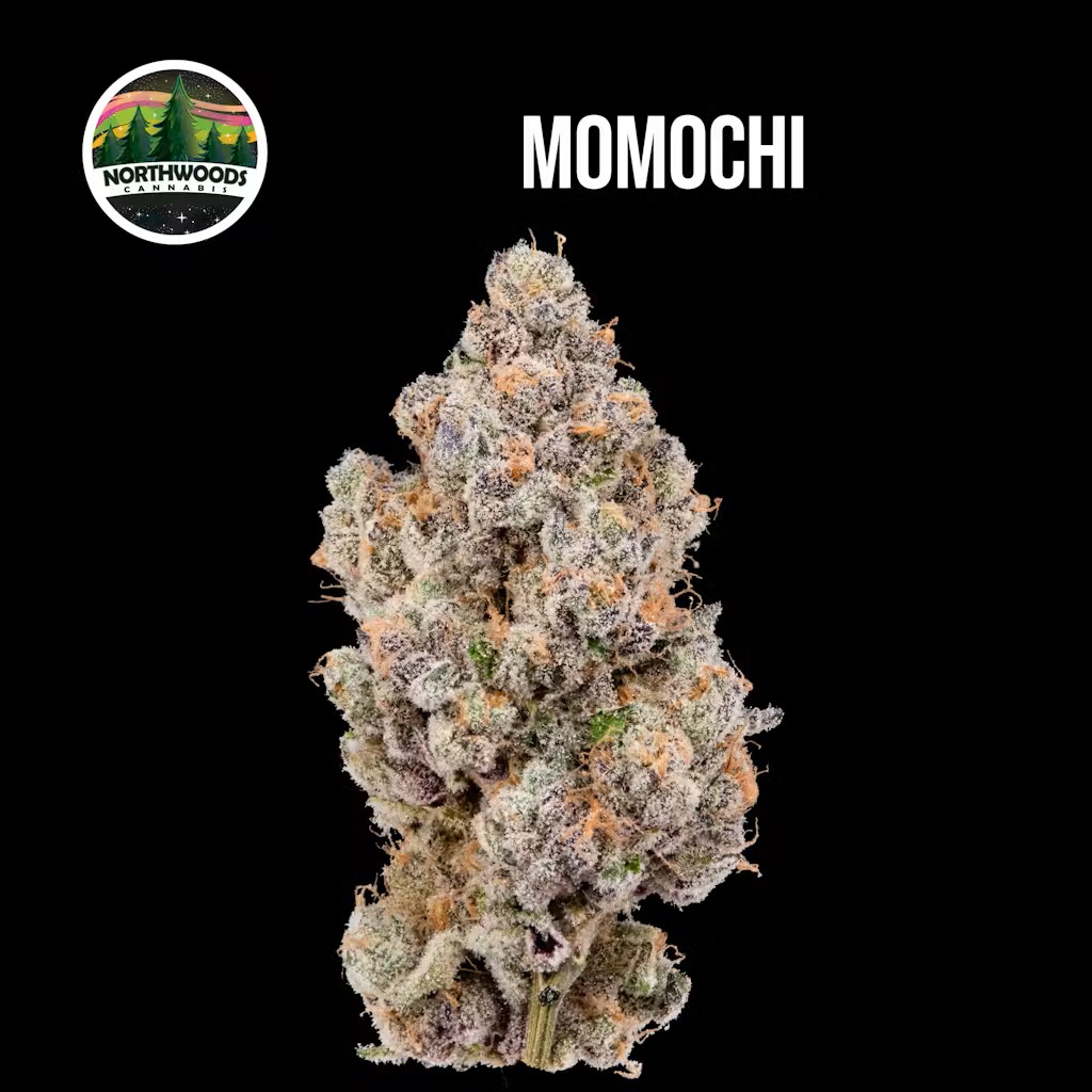 Northwoods Momochi Flower