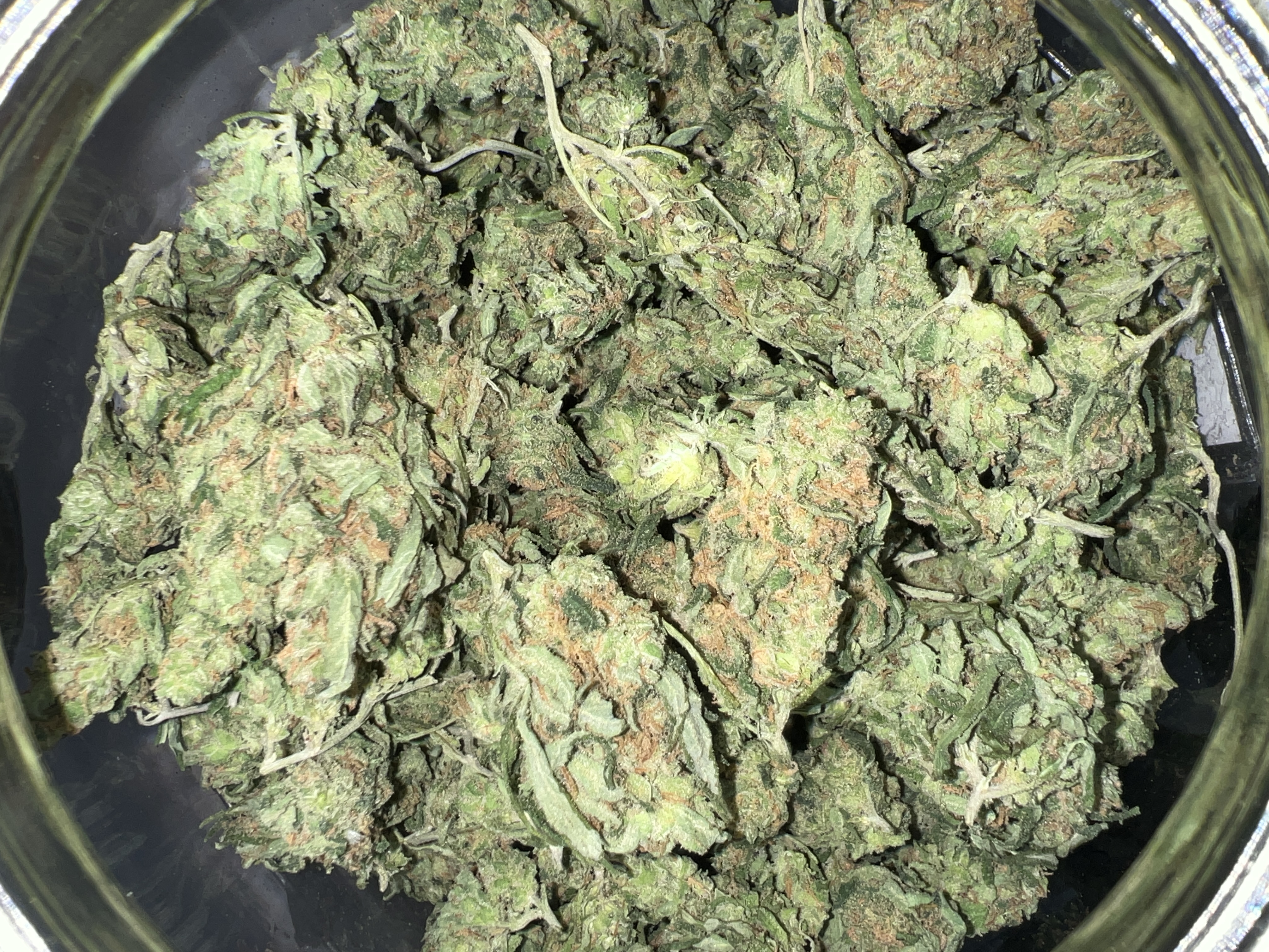 Ice Queen B Buds Tier 2