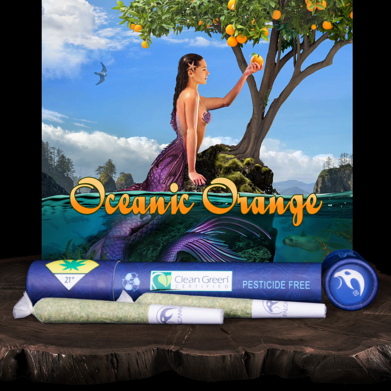 FALCANNA - Oceanic Orange Pre-Roll 2-Pack | 1.2g