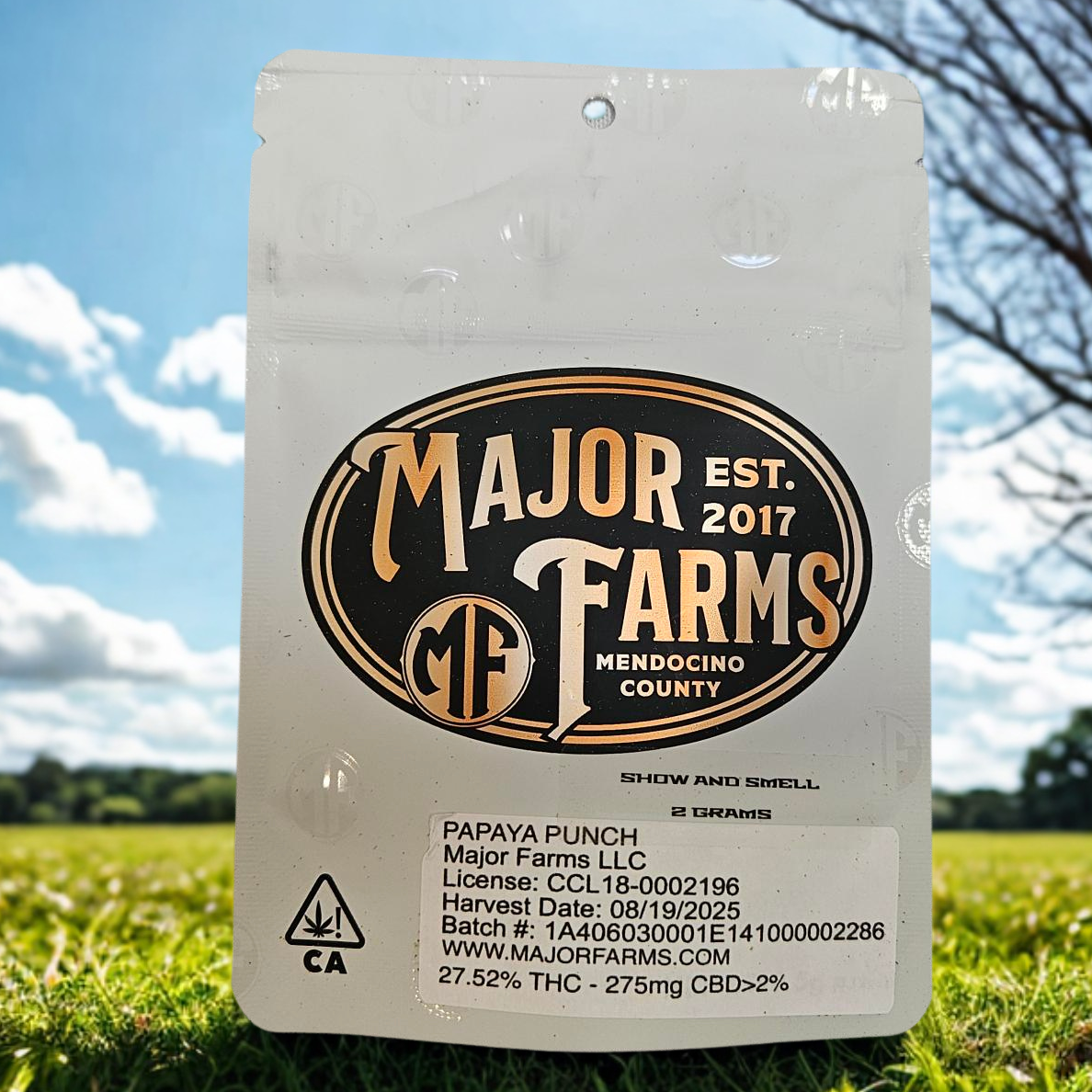 MAJOR FARMS: Papaya Punch