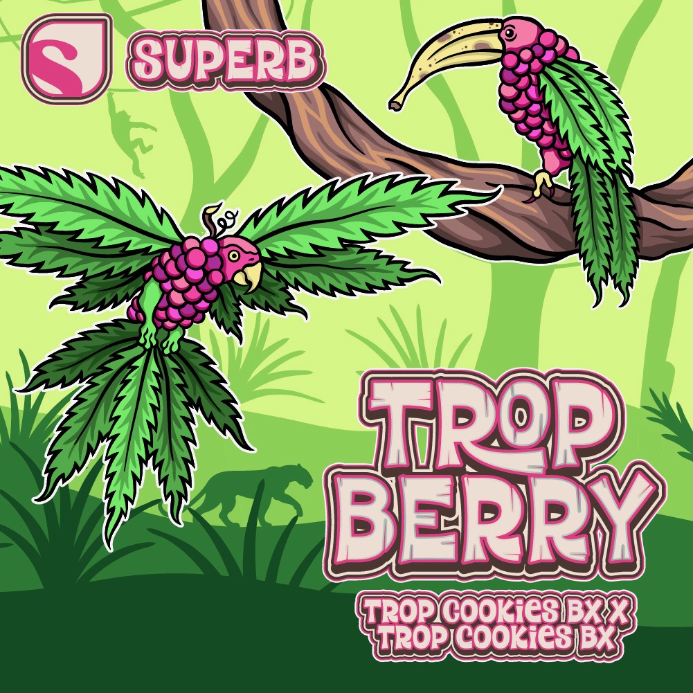 Superb | Trop Berry | .5g Live Rosin AIO
