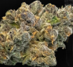 Doghouse: Pink Passion