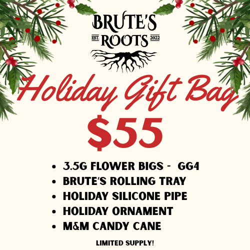 GG4 Holiday Gift Bag