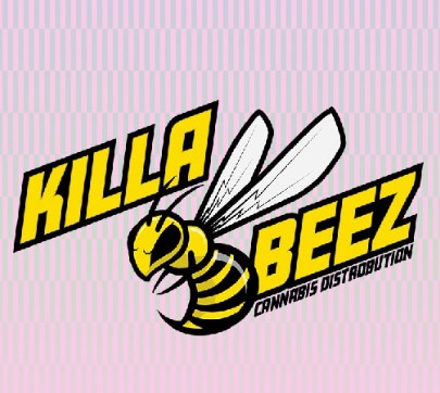 Liquid Buzz Pull Snap