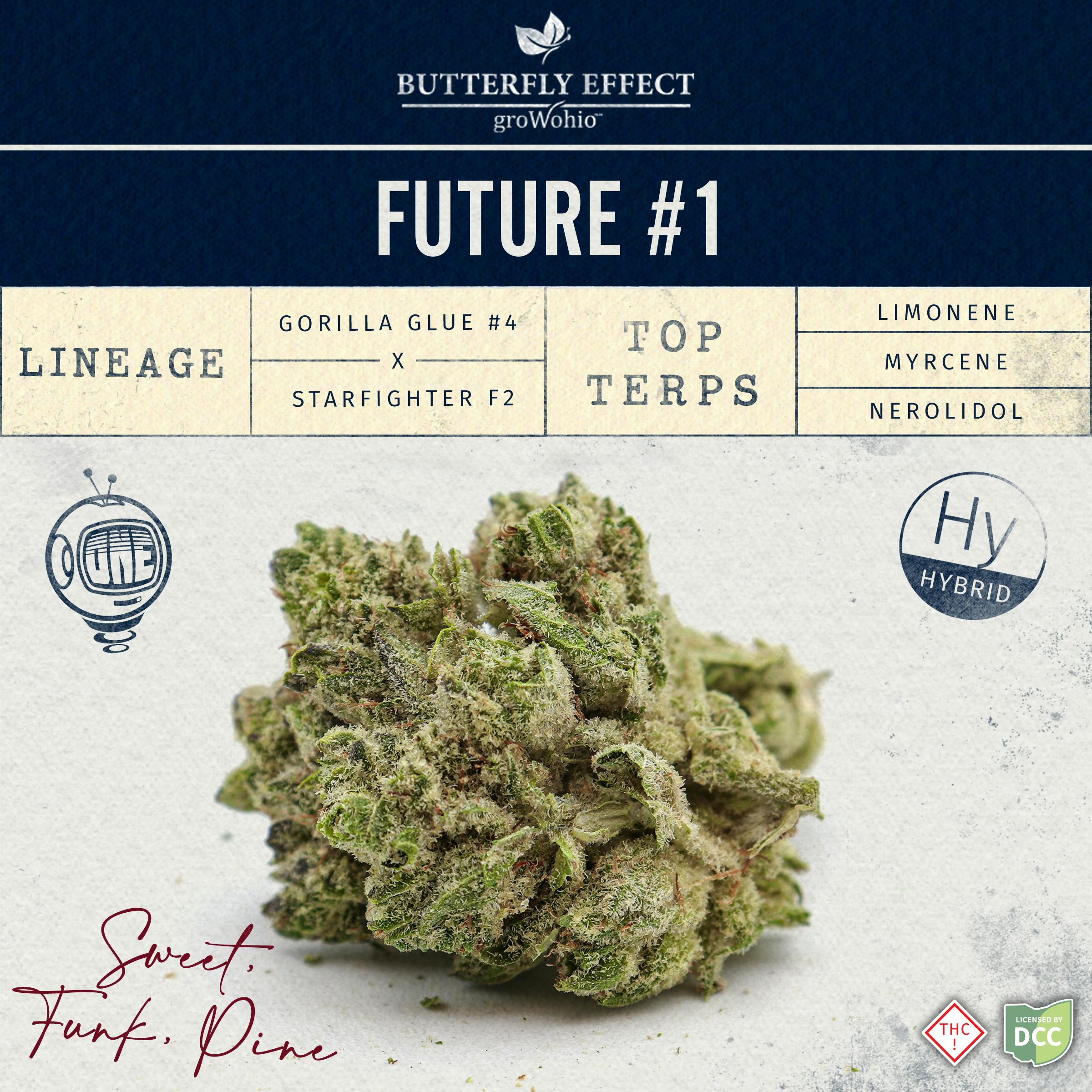 Grow Ohio Future 1 Buds