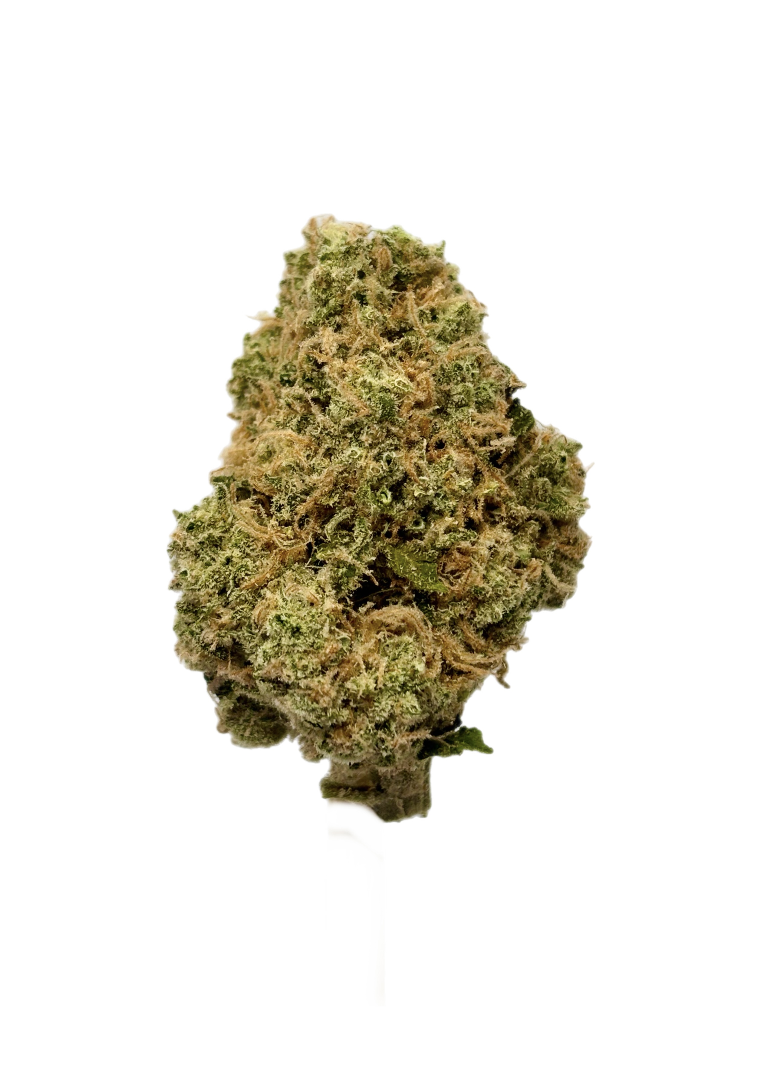 Honey Pot Bulk Flower