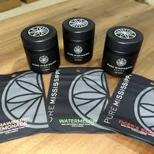 Cheetah Piss Cartridge