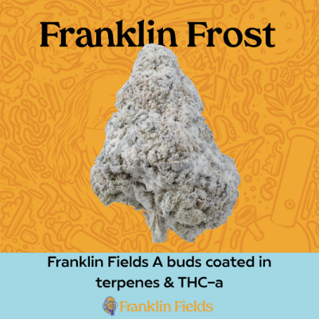 FROSTED BUDS | INDICA | 41 COOKIES