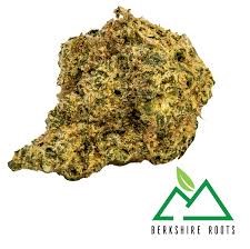 Orange Chemeleon | 3.5g