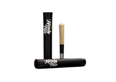 Heady Tree - Pirate's Milk Preroll - 1g