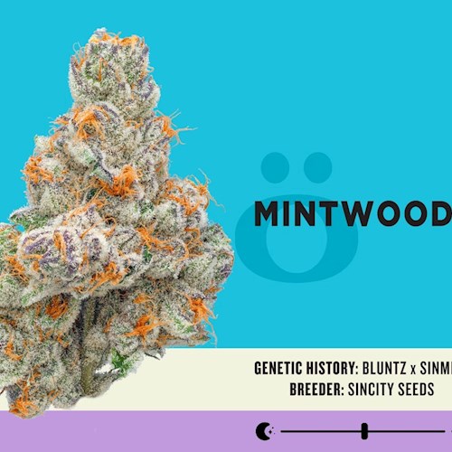 Skord Mintwoods (Hybrid)