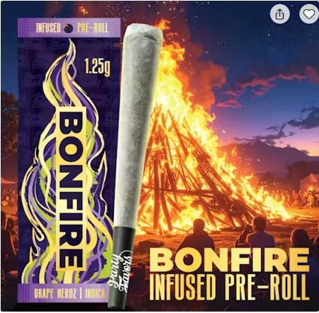 Party Favors | Bonfire 1.25g infused pre roll- Grape Nerdz Indica