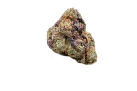 Apple Fritter