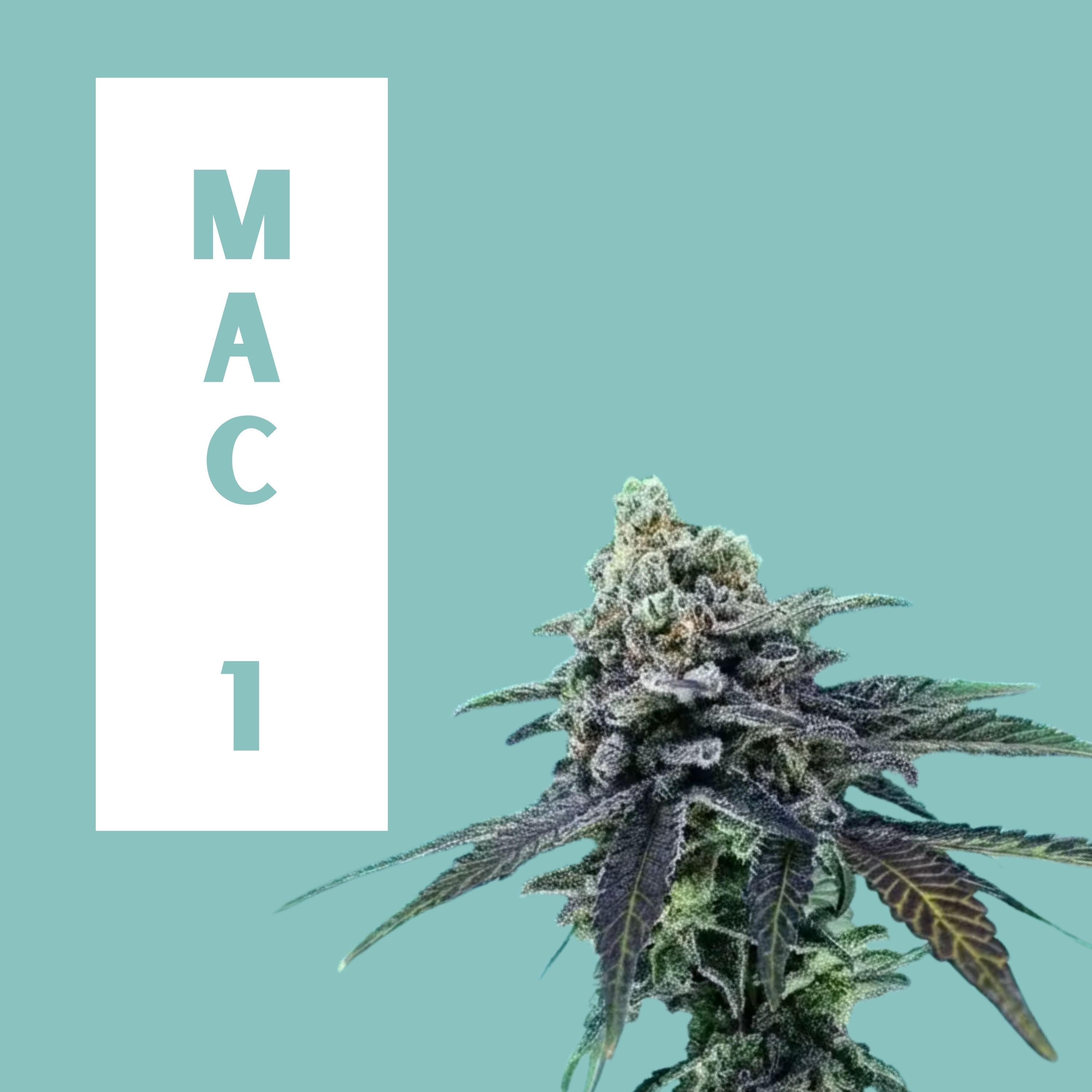 Green Lightning | MAC 1 *Smalls* | 7g