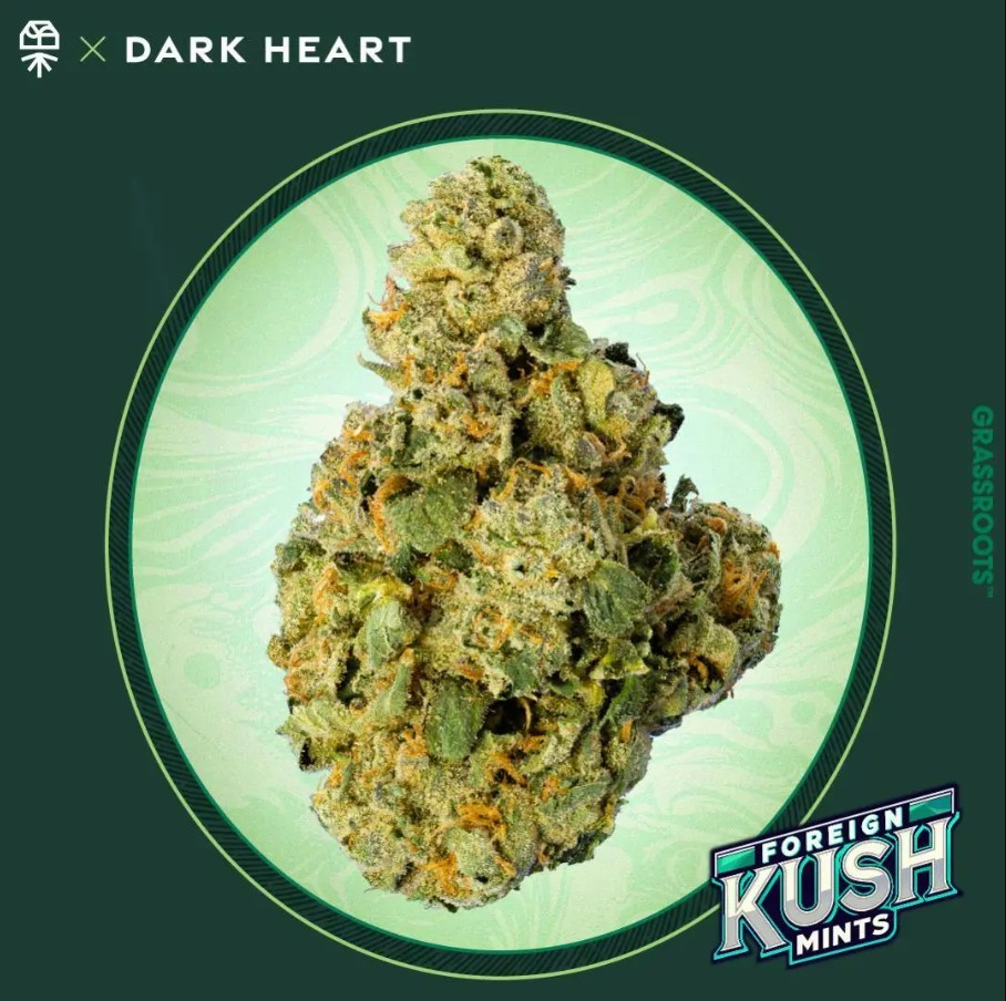 Dark Heart Foreign Kush Mints | 3.5g