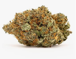 Zips | Supernova #15 | 1/2 oz (14g)