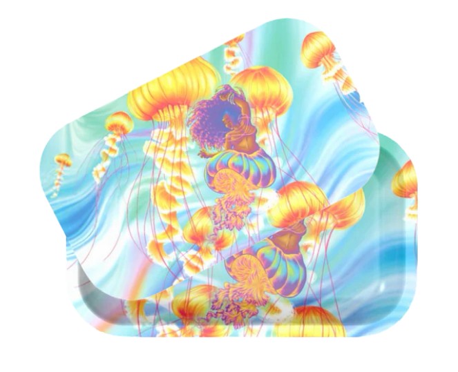 Large Jellyfish