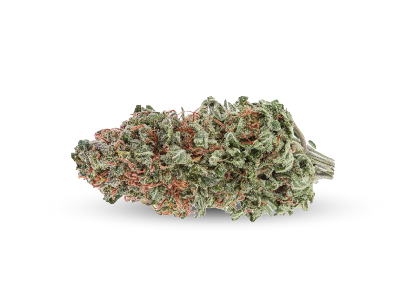 Highly Dutch - Rotterdam Indica (Organic Durban Gorilla) - 2.32% TERPS! - Indica - 28g
