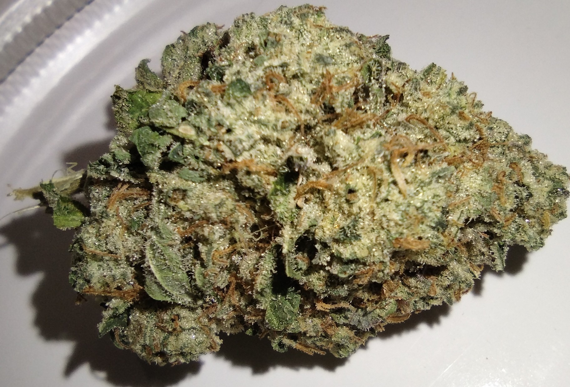 Bad River Cannabis - Mai Tai Zkittles - 3.5g - Flower