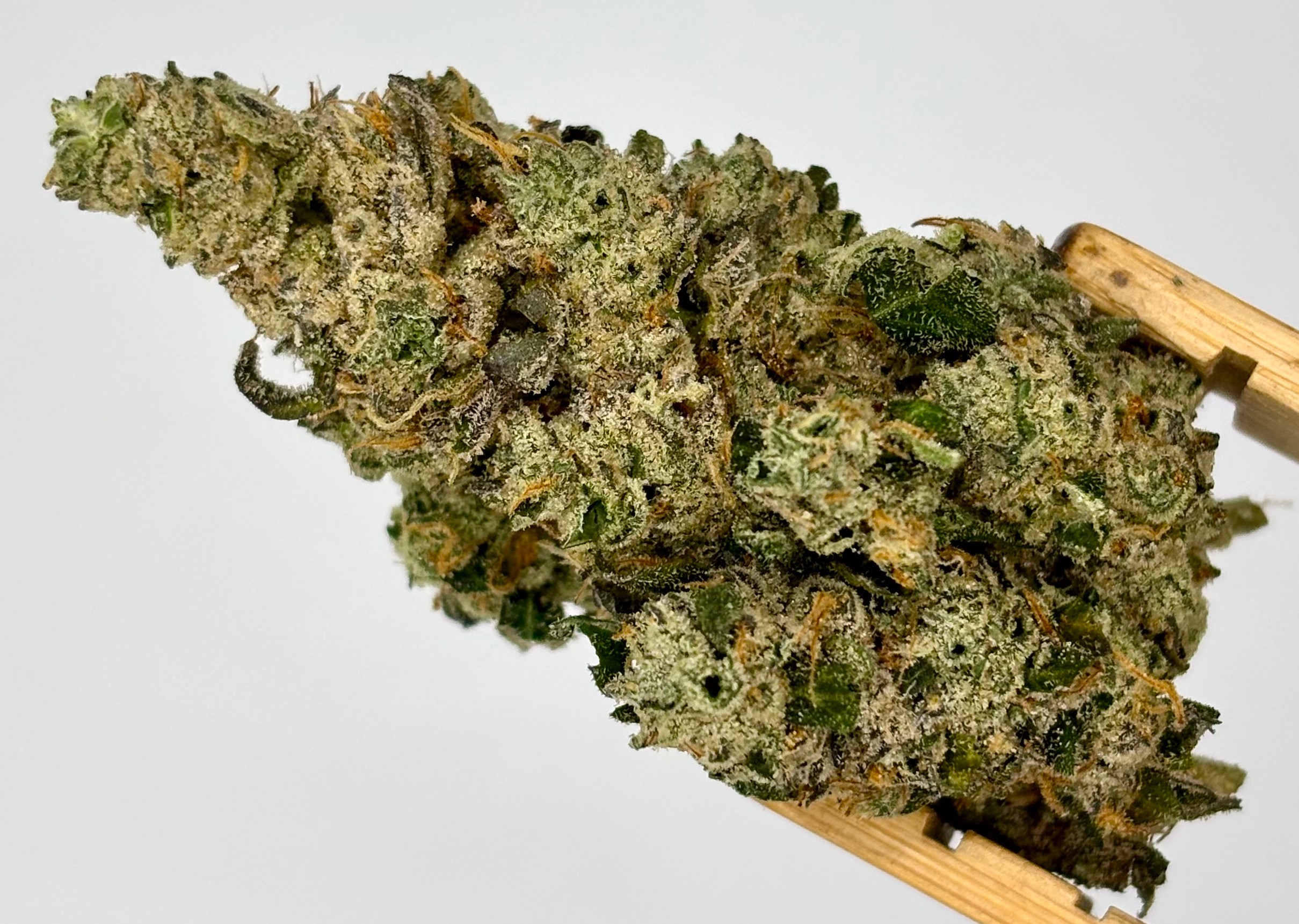 Classic Roots | MSG | Bulk Flower | Yellow Tier