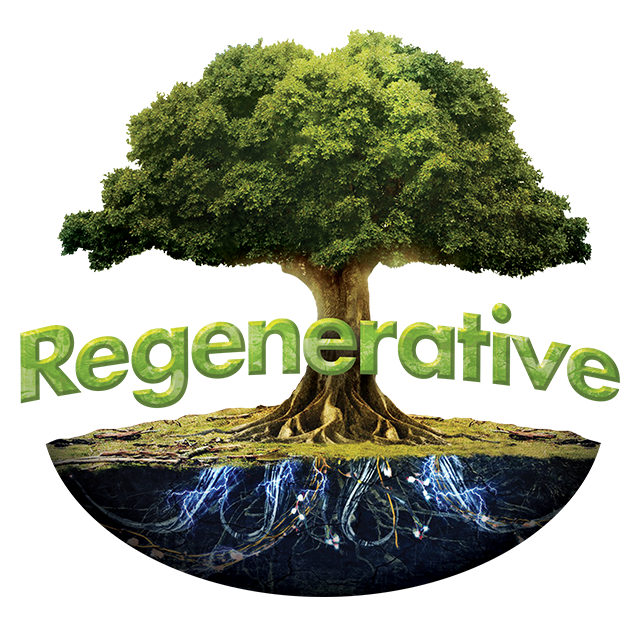 Lemon Margy - Pre Roll