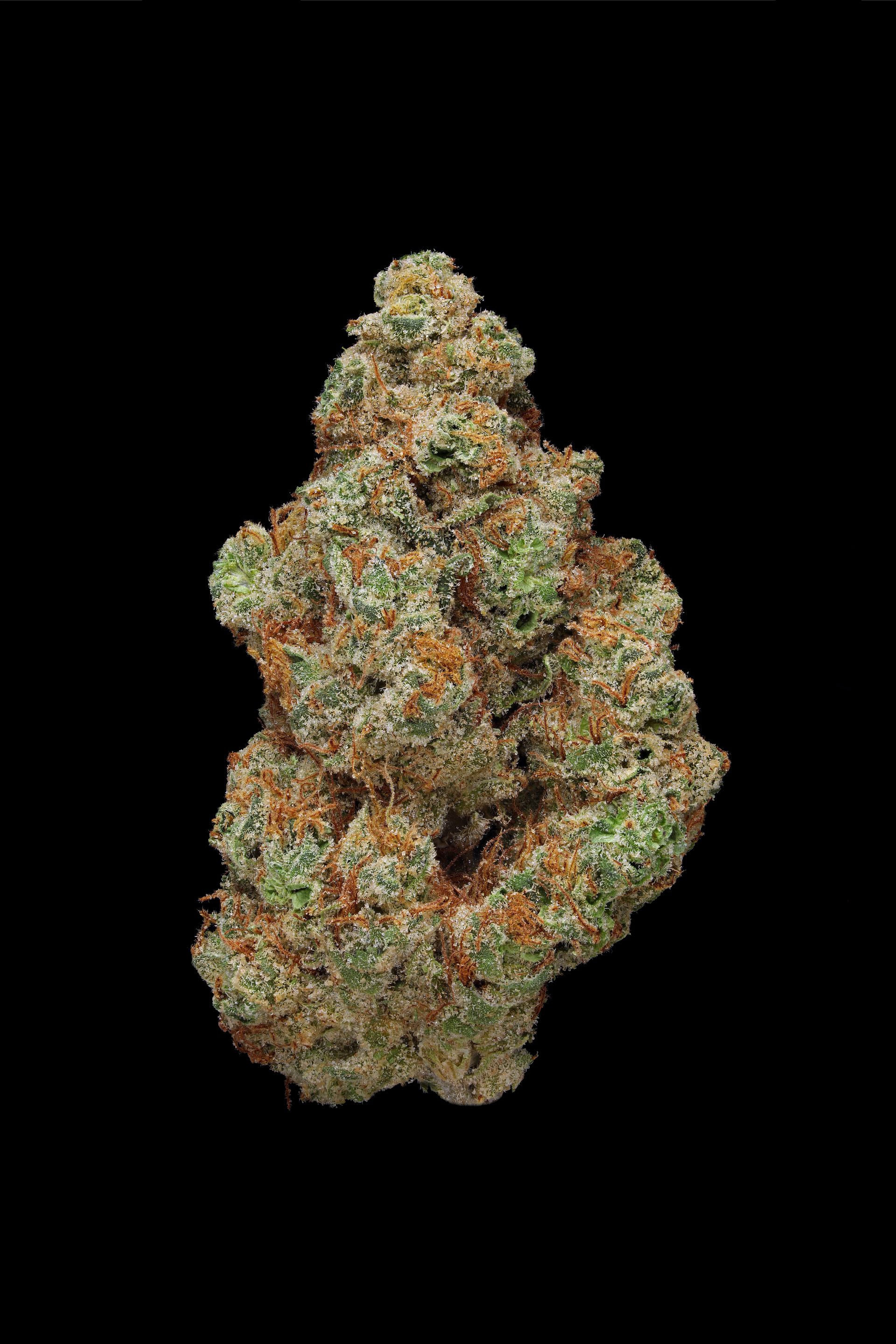 G13 | 1g