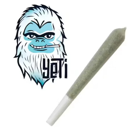 Yeti - Georgia Pie - PreRoll