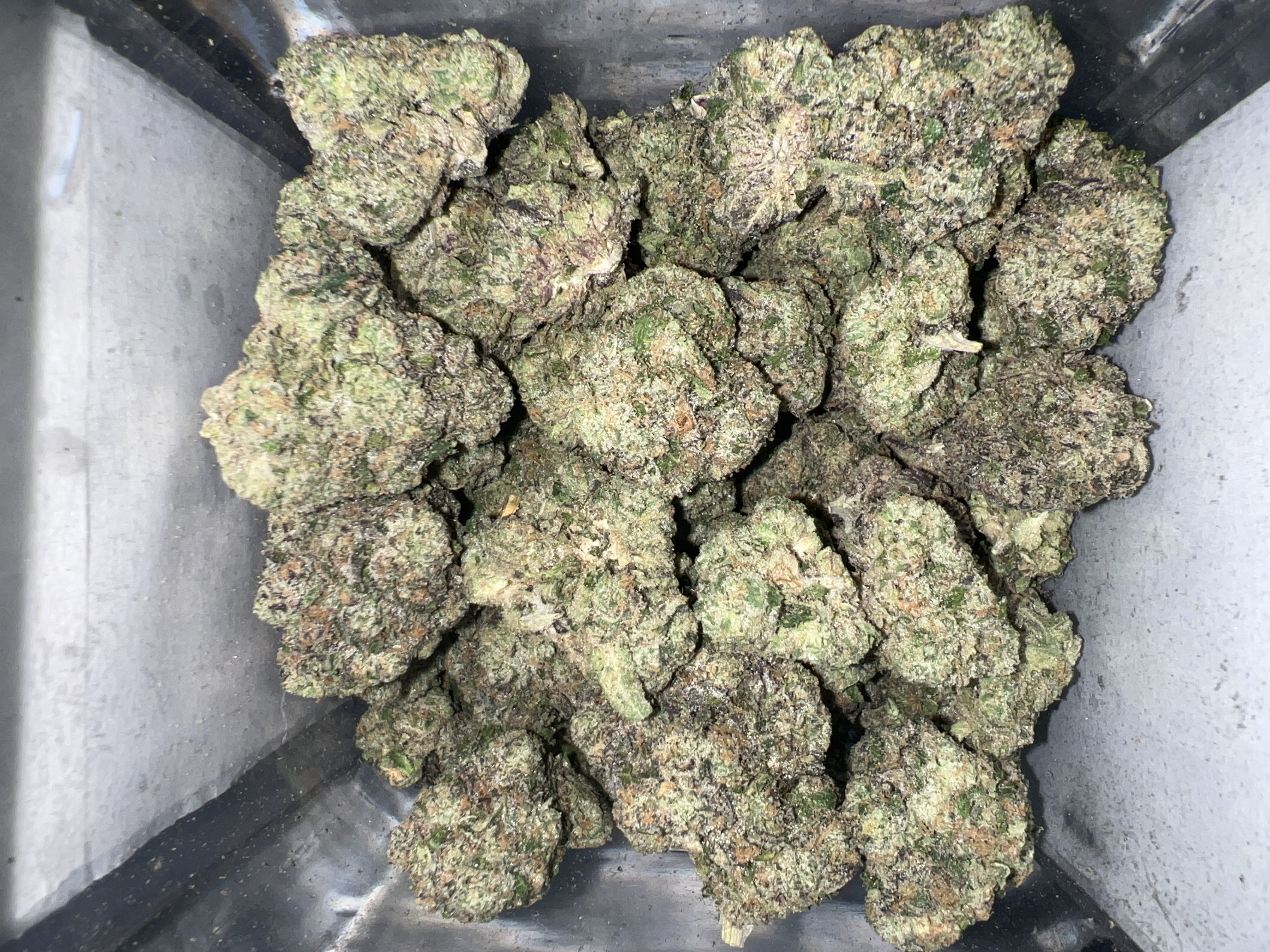 Flyte Co. - Blue Lobster - Top Shelf - $280 /oz.