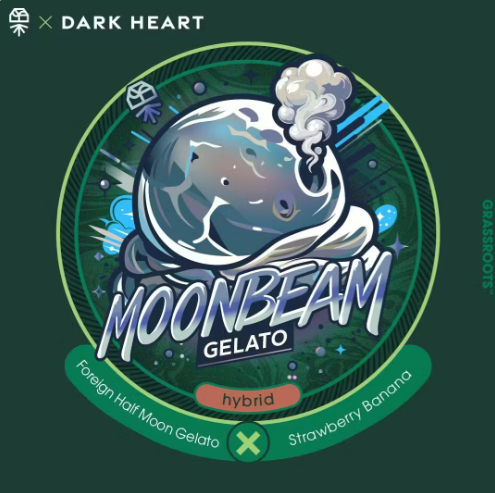 Moonbeam Gelato - Dark Heart Flower