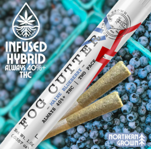 FogCutter - Maine Blueberry - 2PK - .5g PR Infused - I