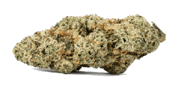 (03291) Mule Fuel