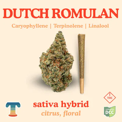 Dutch Romulan 1G Preroll - Sativa