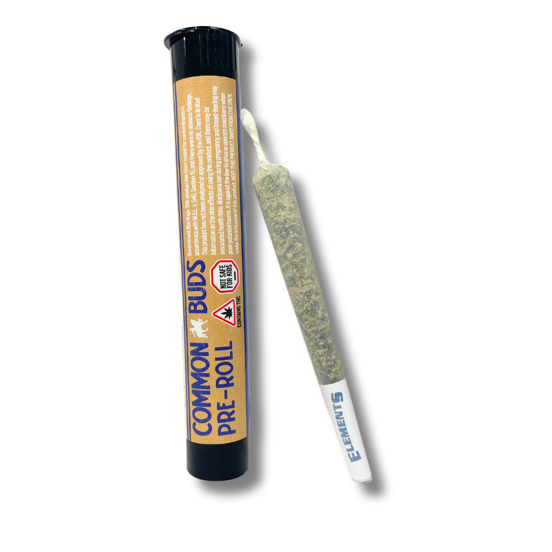 Preroll | Trillianz