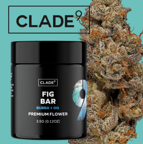 Clade9 - Fig Bar
